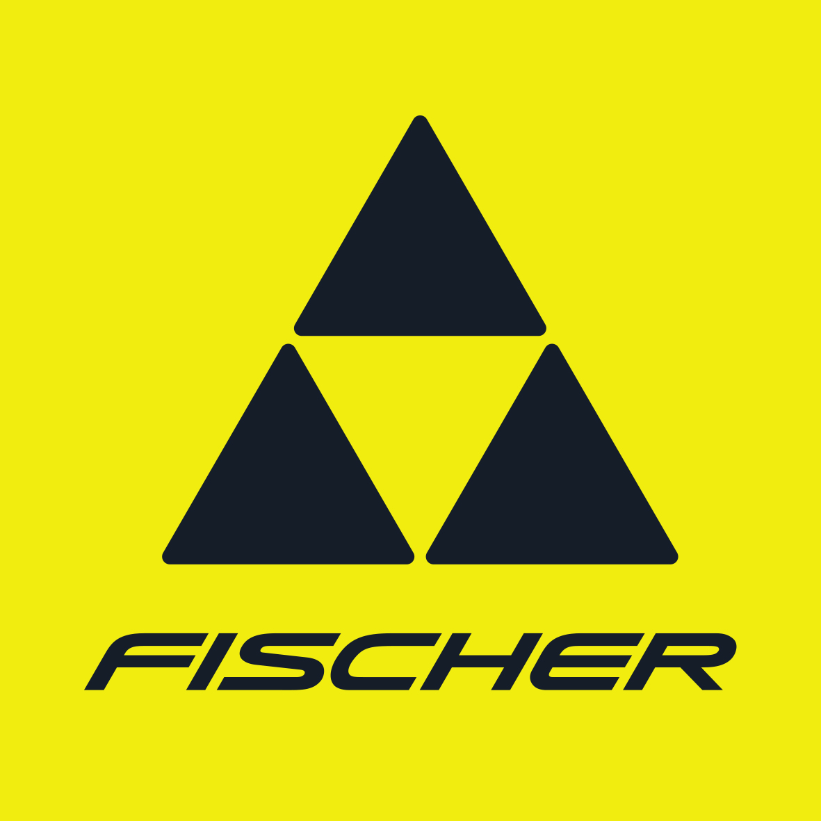 Fischer Ski Fischer Ski