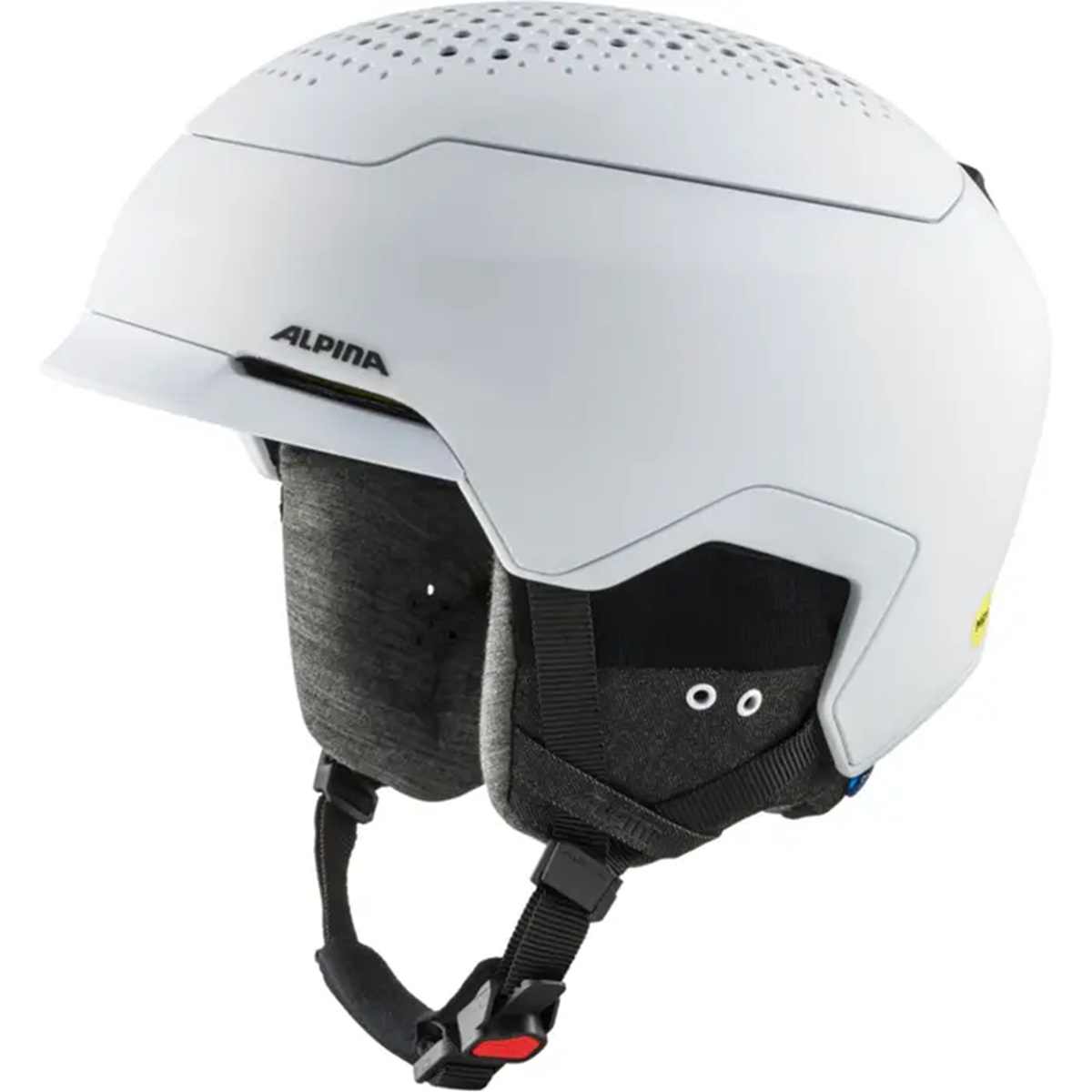 Alpina BANFF MIPS - Skihelm